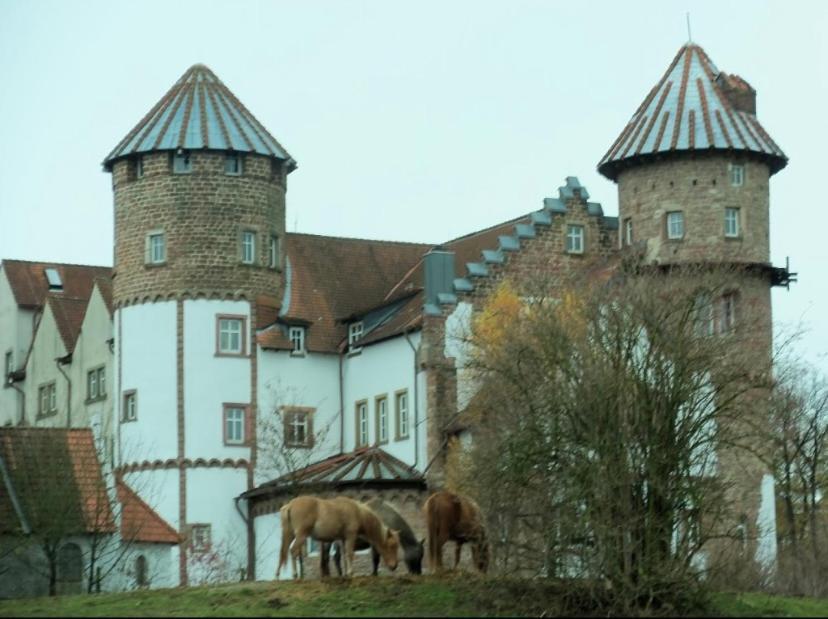 Luxus Appartement Im Schloss Fockelberg Ngoại thất bức ảnh